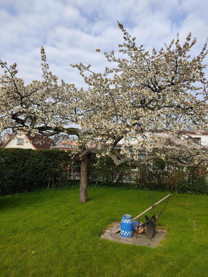 Ferienwohnung Ostseestrandlaeufer 2 Цингст Екстериор снимка